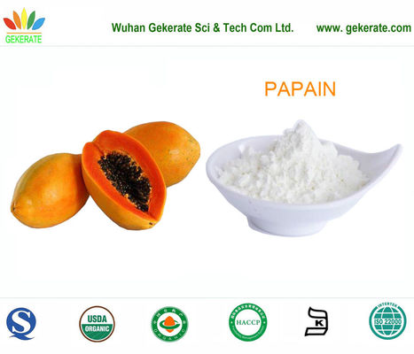 Papain siêu tinh khiết protease tinh khiết từ trái đu đủ, enzyme thực phẩm